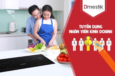 TUYỂN DỤNG NHÂN VIÊN KINH DOANH DMESTIK