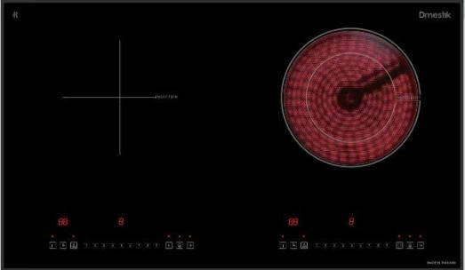 Bếp điện từ D'mestik TL 2011DKT